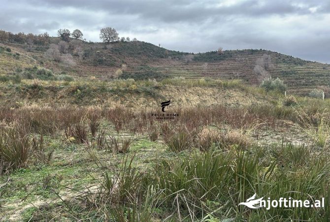 Terreno in vendita  a Valona - 215,000 Euro