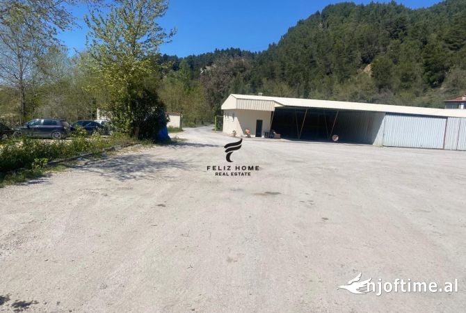 Truall ose Toke  ne Tirane - 10,000 Euro