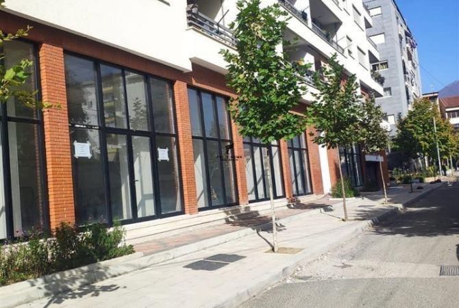 Shtepi me qera 2+1 ne Tirane - 490 Euro