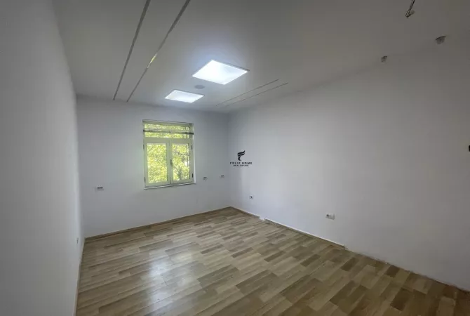 Ambiente Commerciale in Affitto 3+1 a Tirana - 700 Euro