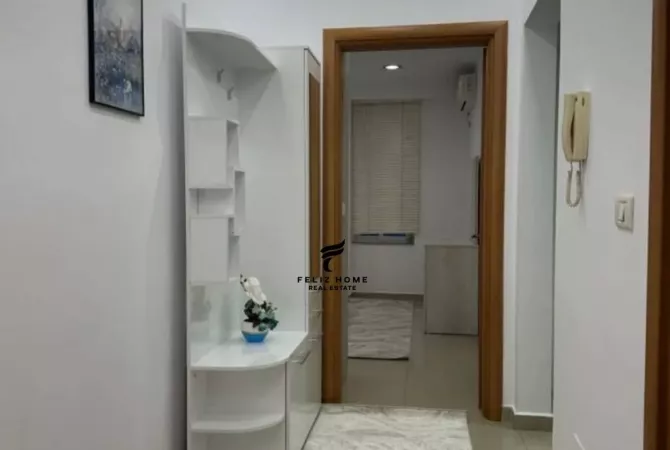 Shtepi me qera Apartament ne Tirane, 1+1, Mobilimi E mobiluar, Pagesa 500  Euro.
