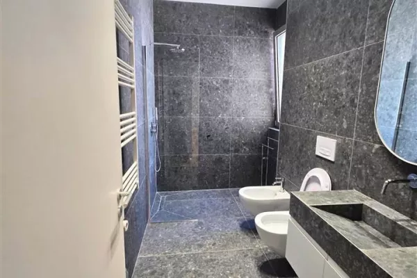 Shtepi me qera Apartament ne Tirane, 1+1, Mobilimi E mobiluar, Pagesa 1,400  Euro.