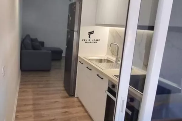 Shtepi me qera Apartament ne Tirane, 1+1, Mobilimi E mobiluar, Pagesa 550  Euro.