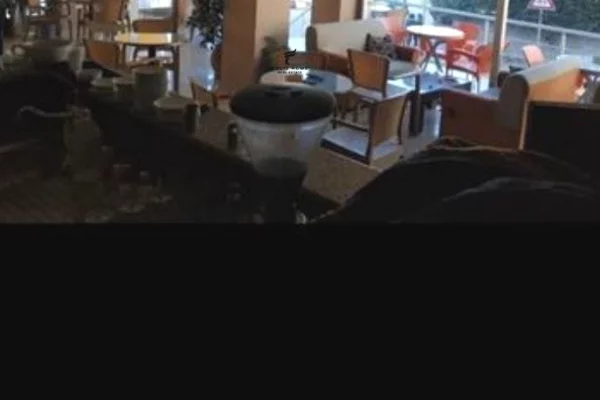 Business Property for Rent 2+1 in Tirana - 500 Euro