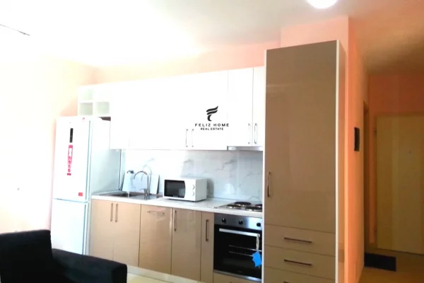 Shtepi me qera 1+1 ne Tirane - 50,000 Leke