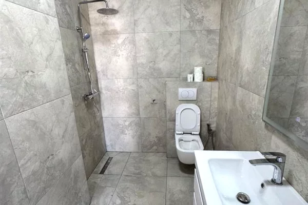 Shtepi me qera Apartament ne Tirane, 1+1, Mobilimi E mobiluar, Pagesa 550  Euro.