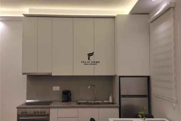 Shtepi me qera 1+1 ne Tirane - 600 Euro