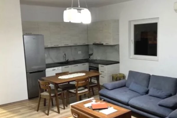 Shtepi me qera 2+1 ne Tirane - 43,000 Leke