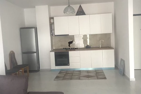 House for Rent 1+1 in Tirana - 500 Euro