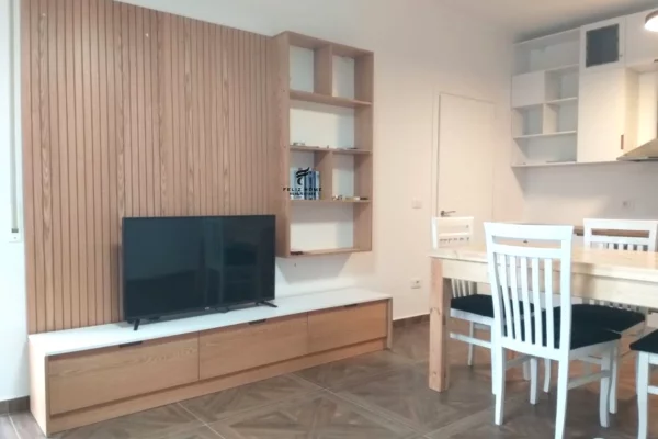 House for Rent 1+1 in Tirana - 45,000 Euro