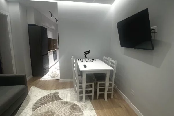 House for Rent 1+1 in Tirana - 520 Euro