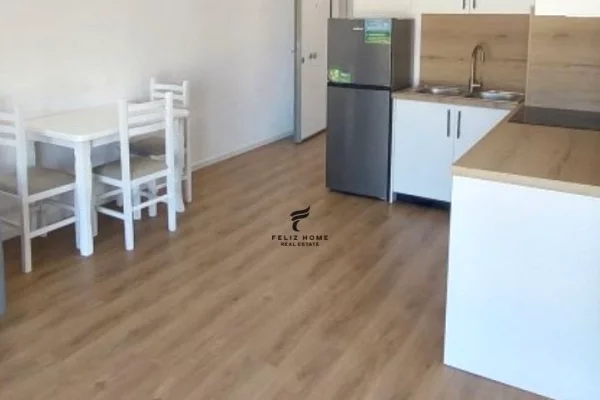 House for Rent 1+1 in Tirana - 43,000 Leke