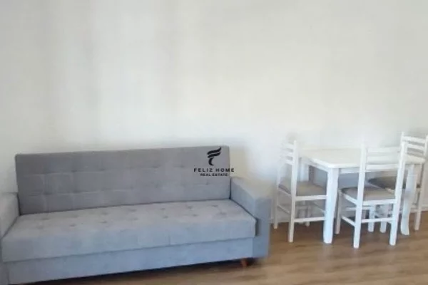 House for Rent 1+1 in Tirana - 43,000 Leke