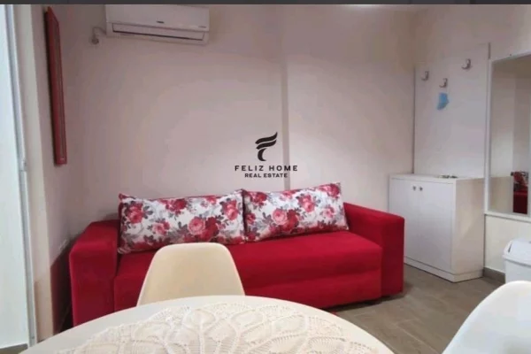 Shtepi me qera 1+1 ne Tirane - 50,000 Leke