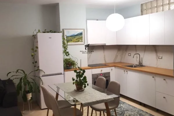 Shtepi me qera 2+1 ne Tirane - 55,000 Euro