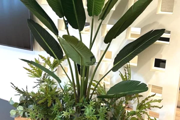 Shtepi me qera 3+1 ne Tirane - 1,100 Euro