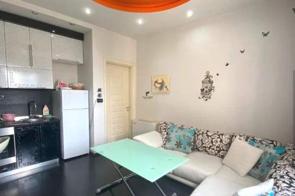 House for Rent 1+1 in Tirana - 500 Euro