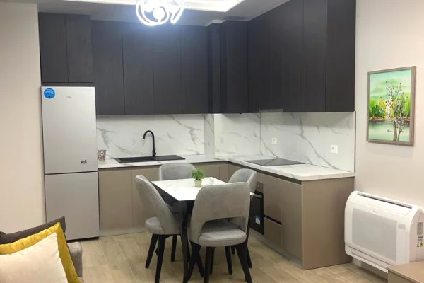 Shtepi me qera 1+1 ne Tirane - 850 Euro