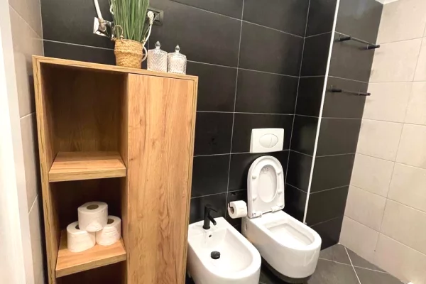 Shtepi me qera Apartament ne Tirane, 1+1, Mobilimi E mobiluar, Pagesa 800  Euro.