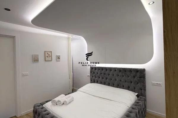 Shtepi me qera Apartament ne Tirane, Garsoniere, Mobilimi E mobiluar, Pagesa 55,000  Leke.