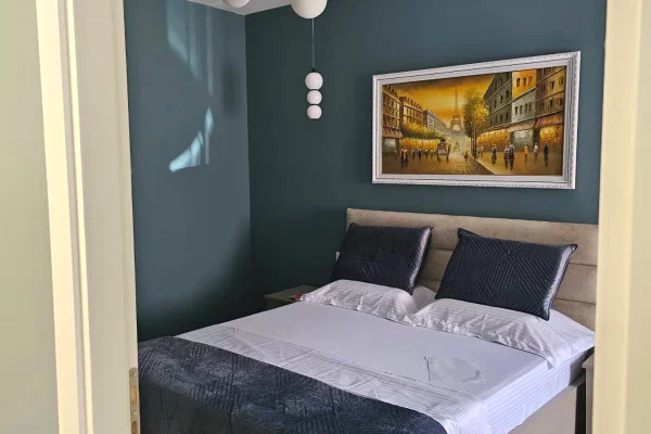 Apartment for rent in Tirana 1+1, Furnished