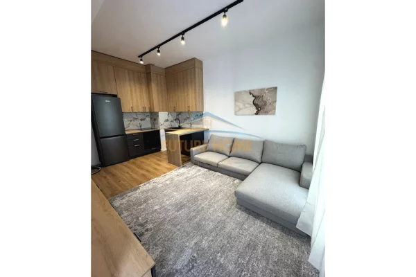 Apartment for rent in Tirana 1+1, Emty