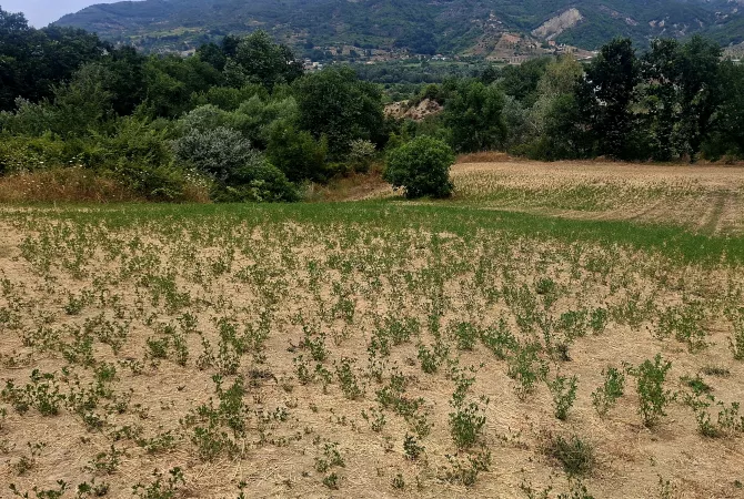 Terreno in vendita  a Tirana - 160,000 Euro