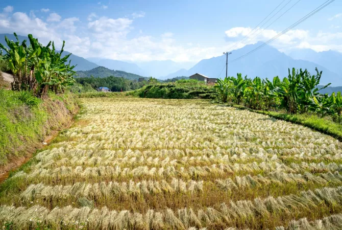 Land for Sale  in Tirana - 420,000 Euro