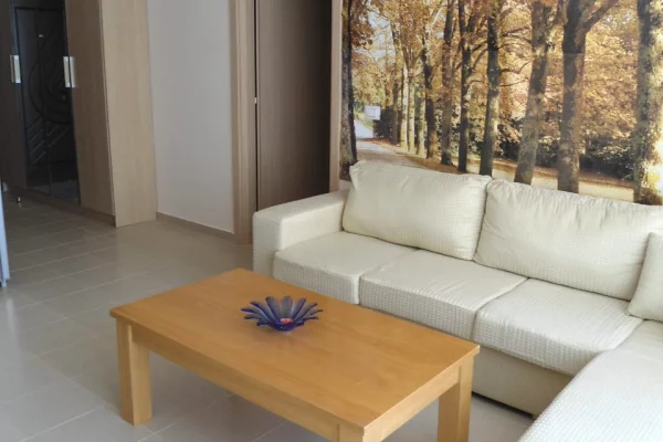 Apartment for rent in Tirana 1+1, Furnished
