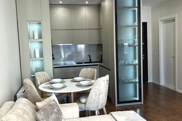 Apartment for rent in Tirana 1+1, Furnished