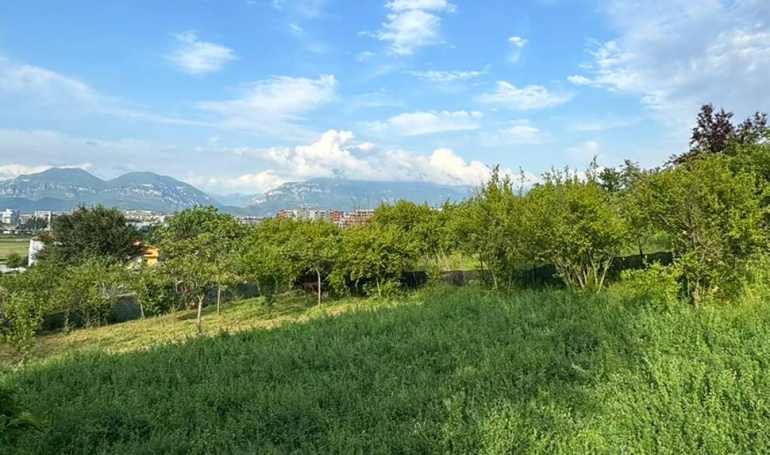 Shitet toke me Certifikat Pronesie ne Mezez, 1100 m2, 1300 m2