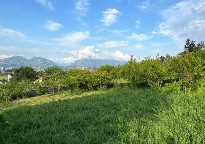 Truall ose Toke  ne Tirane - 175,000 Euro