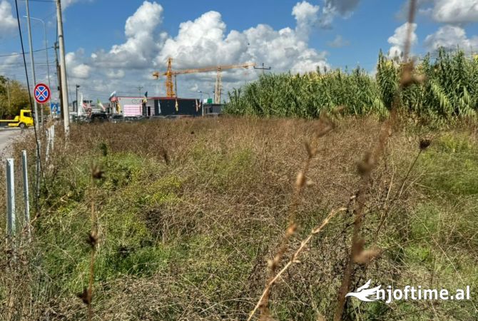 Truall ose Toke ne Tirane - 300,000 Euro