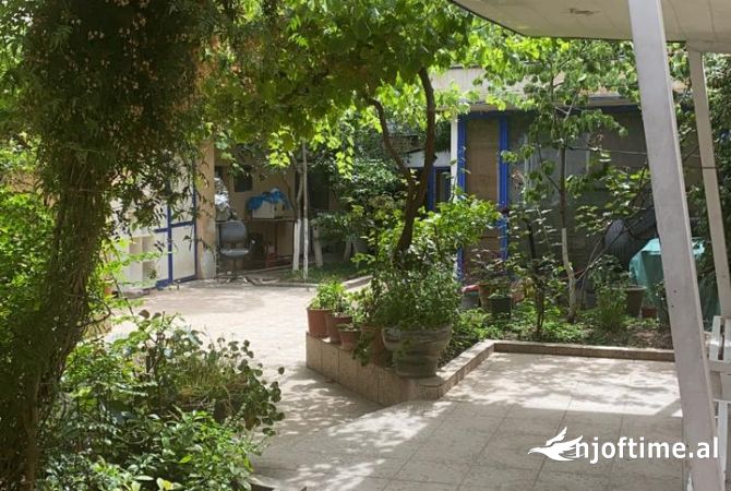 Ambient biznesi me qera 3+1 ne Tirane - 3,000 Euro