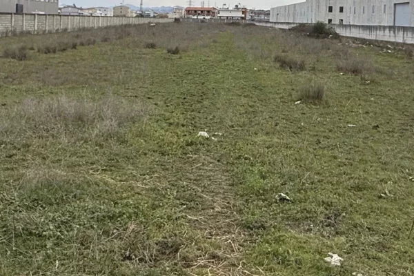 Truall ose Toke ne Tirane - 1,140,000 Euro