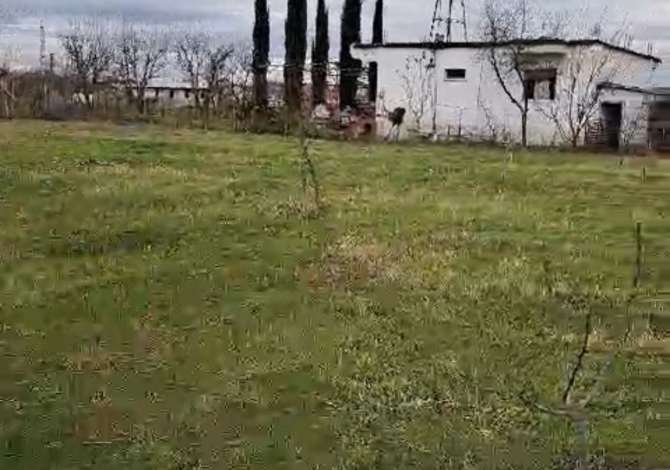 Truall ose Toke ne Tirane - 160,000 Euro