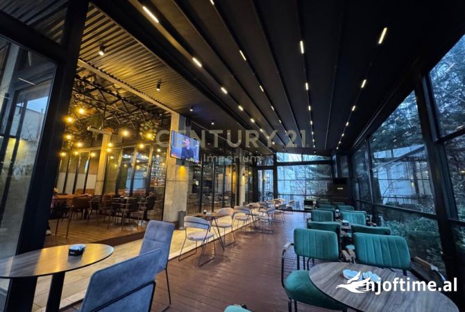 Ambient biznesi me qera 2+1 ne Tirane - 550,000 Euro