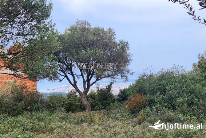 Land for Sale  in Vlora - 450,000 Euro