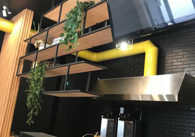 Ambient biznesi me qera 2+1 ne Tirane - 1,100 Euro