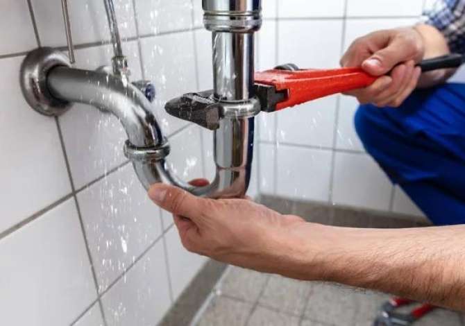 Environment maintenance in Tirana - 1,000 Leke