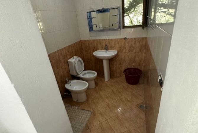 Shtepi me qera 1+1 ne Tirane - 250 Euro