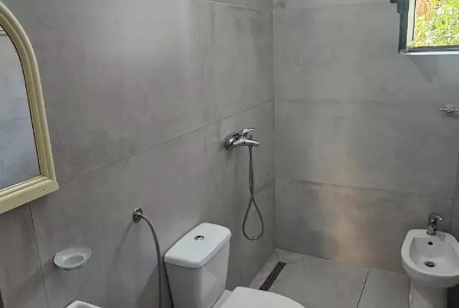 Shtepi me qera Apartament ne Tirane, 1+1, Mobilimi E mobiluar, Pagesa 45,000  Leke.