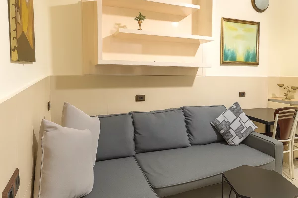 Casa in affitto 1+1 a Tirana - 44,000 Leke