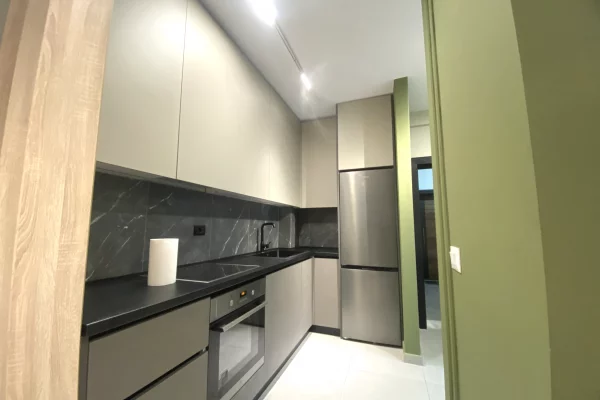 Shtepi me qera Apartament ne Tirane, 1+1, Mobilimi E mobiluar, Pagesa 55,000  Leke.