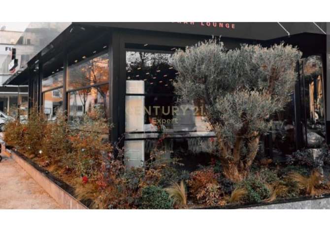 Ambient biznesi me qera 2+1 ne Tirane - 2,000 Euro
