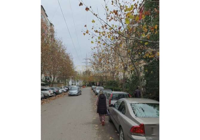 Ambient biznesi me qera 1+1 ne Tirane - 300 Euro