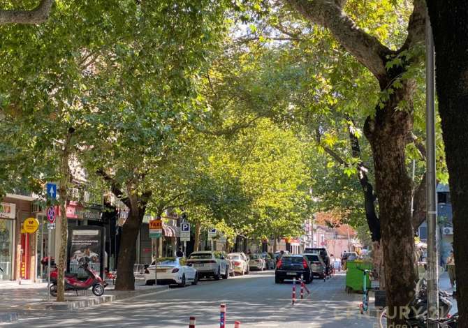 Ambient biznesi me qera 1+1 ne Tirane - 2,000 Euro