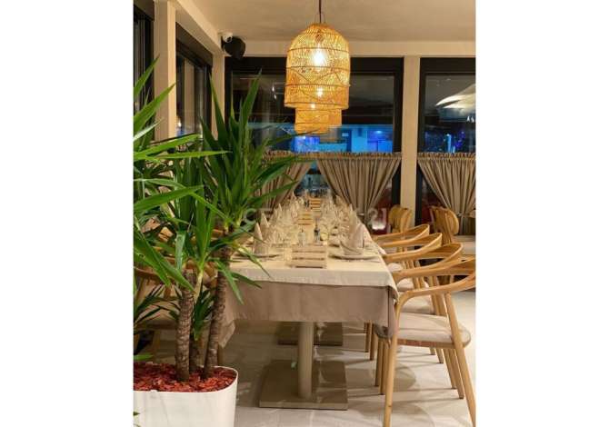 Ambient biznesi me qera 2+1 ne Tirane - 2,500 Euro