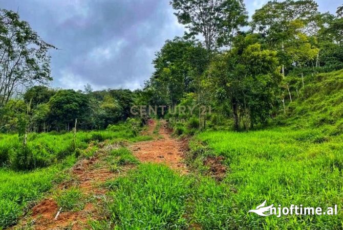 Truall ose Toke ne Tirane - 17,300 Euro