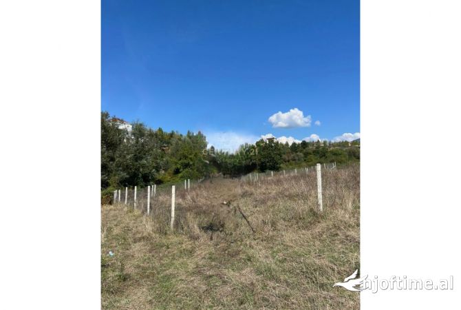 Terreno in vendita  a Tirana - 92,610 Euro